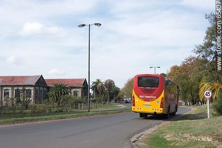 Bus turístico - Departamento de Colonia - URUGUAY. Foto No. 65437