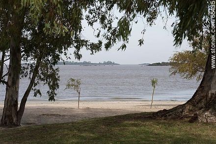 Playa sobre el Río Uruguay - Departamento de Colonia - URUGUAY. Foto No. 65435