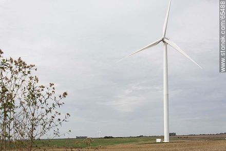 Wind farm Artilleros - Department of Colonia - URUGUAY. Photo #65488