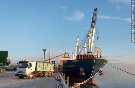 Grain load to ship - Department of Colonia - URUGUAY. Foto No. 65451