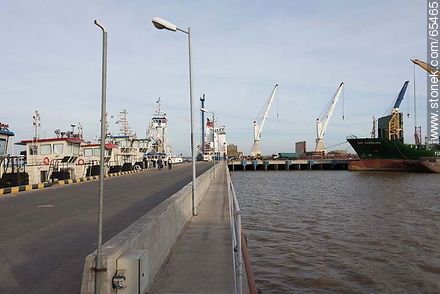 Port of Nueva Palmira - Department of Colonia - URUGUAY. Photo #65465