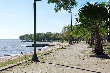 Beach and park in Nueva Palmira - Department of Colonia - URUGUAY. Foto No. 65516