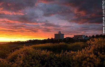 Aromos and clouds at sunset - Department of Maldonado - URUGUAY. Foto No. 65740