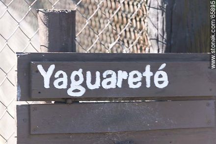 Yaguareté en la reserva del cerro Pan de Azúcar - Departamento de Maldonado - URUGUAY. Foto No. 65895