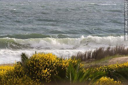 Playa San Francisco un día ventoso y con oleaje - Departamento de Maldonado - URUGUAY. Foto No. 65967