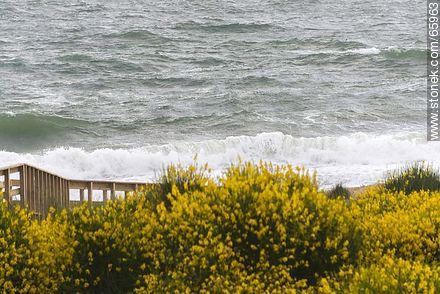 Playa San Francisco un día ventoso y con oleaje - Departamento de Maldonado - URUGUAY. Foto No. 65963