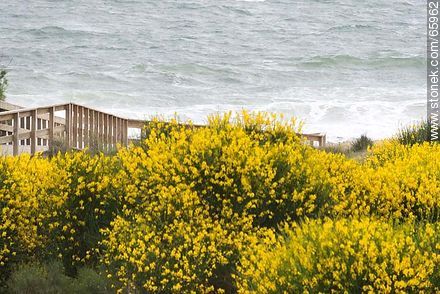 Playa San Francisco un día ventoso y con oleaje - Departamento de Maldonado - URUGUAY. Foto No. 65962