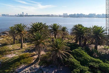 Aerial photo of Isla de las Gaviotas (Seagulls Island) - Department of Montevideo - URUGUAY. Photo #66146