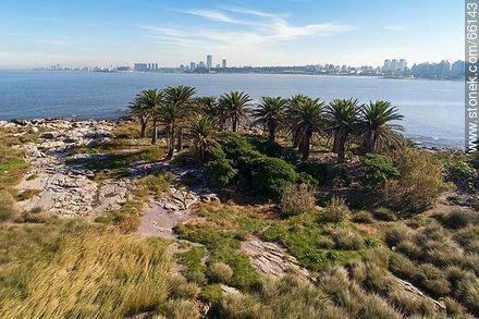 Aerial photo of Isla de las Gaviotas (Seagulls Island) - Department of Montevideo - URUGUAY. Photo #66143