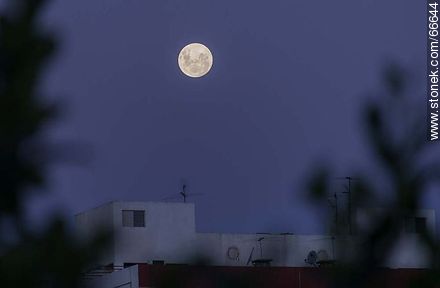 Luna llena al anochecer -  - IMÁGENES VARIAS. Foto No. 66644