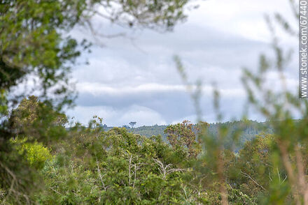 Landscape from the Mirador - Lavalleja - URUGUAY. Photo #67440