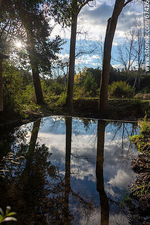 Tree and cloud reflection - Lavalleja - URUGUAY. Photo #67426