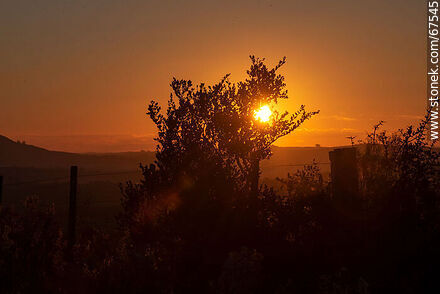 Setting sun in the countryside - Lavalleja - URUGUAY. Photo #67545