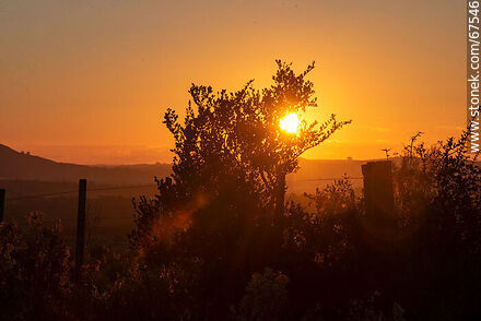 Setting sun in the countryside - Lavalleja - URUGUAY. Photo #67546