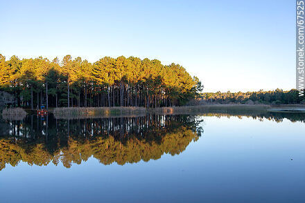 Reflejo del paisaje de árboles en el lago de OSE - Departamento de Lavalleja - URUGUAY. Foto No. 67525