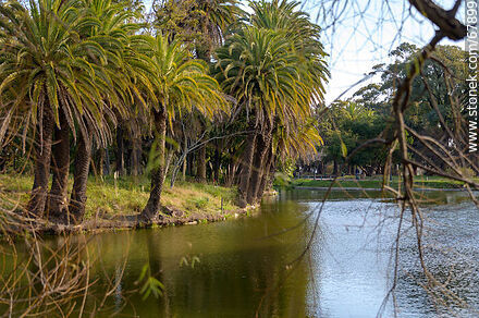 Lake of the park and its islands - Department of Montevideo - URUGUAY. Photo #67899