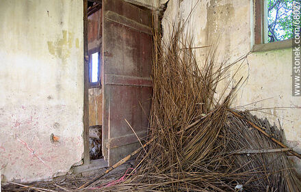 Interior de una casa abandonada - Departamento de Maldonado - URUGUAY. Foto No. 68027