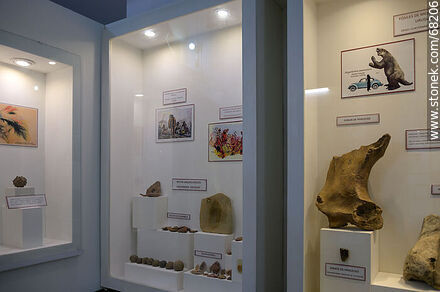 Antigua estación de ferrocarril devenida en museo. Fósiles - Departamento de Flores - URUGUAY. Foto No. 68206