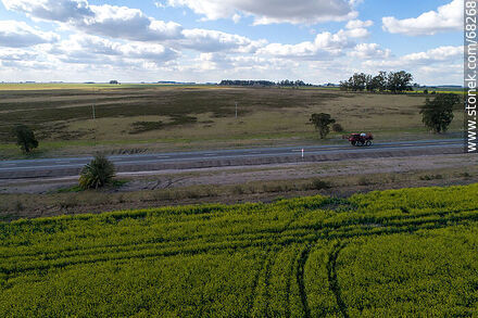 Route 14 and canola fields - Flores - URUGUAY. Photo #68268