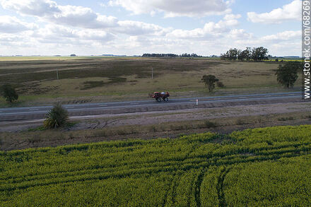 Route 14 and canola fields - Flores - URUGUAY. Photo #68269