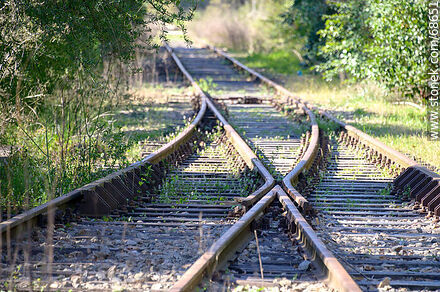 Change of railway - Department of Canelones - URUGUAY. Photo #68651
