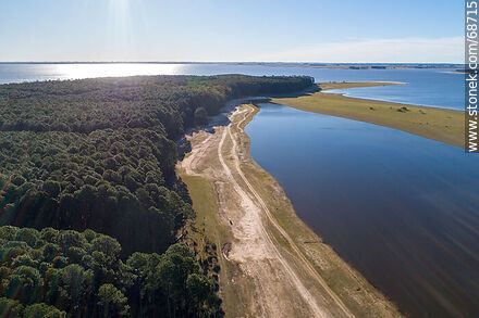 Aerial view of pine forests and beaches of San Gregorio de Polanco - Tacuarembo - URUGUAY. Photo #68715