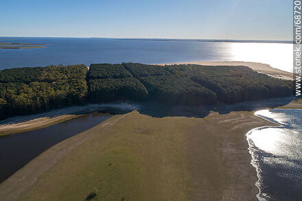 Aerial view of pine forests and beaches of San Gregorio de Polanco - Tacuarembo - URUGUAY. Photo #68720