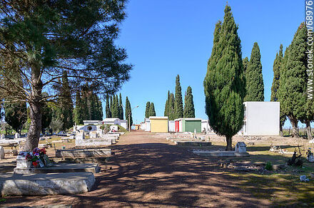 Tombs and Cypresses - Durazno - URUGUAY. Photo #68976