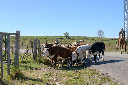 Arriando ganado vacuno - Departamento de Durazno - URUGUAY. Foto No. 69201