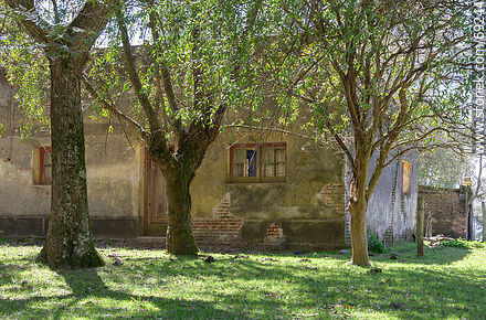 Antigua casa abandonada en el campo - Departamento de Durazno - URUGUAY. Foto No. 69244