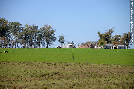 View of a stay in the countryside - Durazno - URUGUAY. Photo #69249