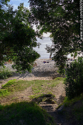 Acceso arbolado a la playa - Departamento de Colonia - URUGUAY. Foto No. 69379