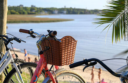 Bicycle basket on the beach - Department of Colonia - URUGUAY. Photo #69384