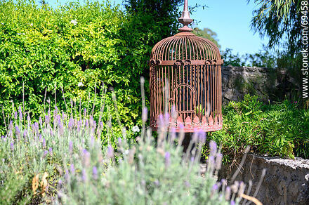 Antigua pajarera - Departamento de Colonia - URUGUAY. Foto No. 69458