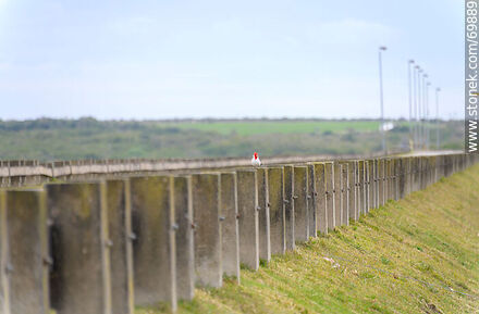 Cardenal de copete rojo en los mojones del puente de la ruta 76 sobre el río Santa Lucía - Departamento de Florida - URUGUAY. Foto No. 69889