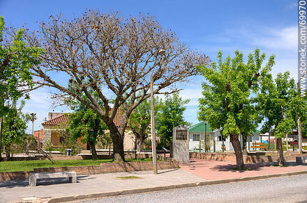 Plaza - Departamento de Treinta y Tres - URUGUAY. Foto No. 69970