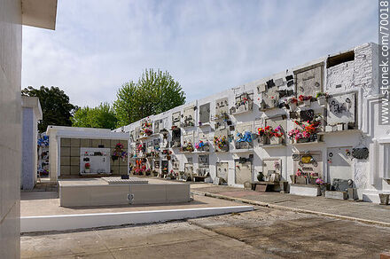 Cementerio. Nichos y panteones - Departamento de Treinta y Tres - URUGUAY. Foto No. 70018