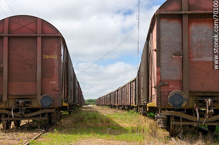 Antiguos vagones de carga de AFE - Departamento de Treinta y Tres - URUGUAY. Foto No. 70100