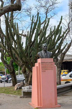 Busto en homenaje a Cerferino Matas en la plazoleta 21 de Setiembre de 1920 - Departamento de Treinta y Tres - URUGUAY. Foto No. 70082
