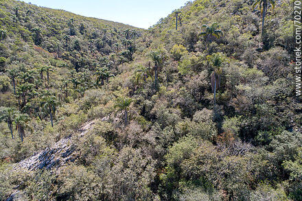 Vista aérea de un sector de la Quebrada de los Cuervos - Departamento de Treinta y Tres - URUGUAY. Foto No. 70270