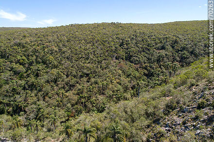 Vista aérea de un sector de la Quebrada de los Cuervos - Departamento de Treinta y Tres - URUGUAY. Foto No. 70263