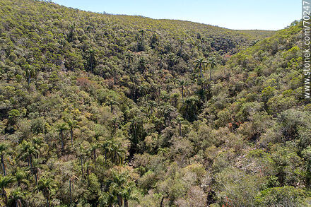 Vista aérea de un sector de la Quebrada de los Cuervos - Departamento de Treinta y Tres - URUGUAY. Foto No. 70247