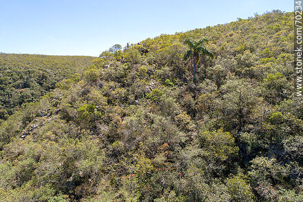 Aerial view of a sector of the Quebrada de los Cuervos - Department of Treinta y Tres - URUGUAY. Photo #70234