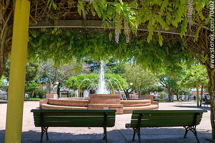 Tala Square. Benches in the shade of wisteria - Department of Canelones - URUGUAY. Photo #70402