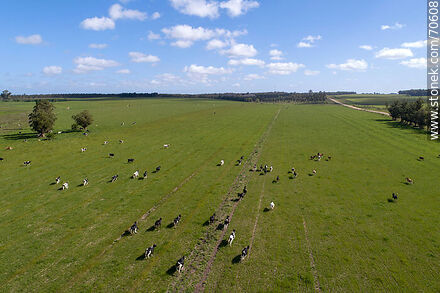 Aerial view in fields of Montes - Department of Canelones - URUGUAY. Photo #70608