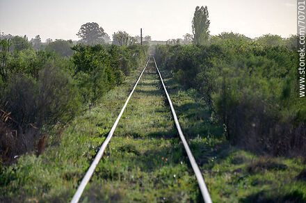 Vías de tren de Tapia - Departamento de Canelones - URUGUAY. Foto No. 70701
