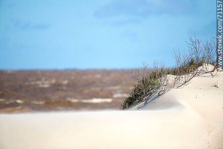 Arena fina de las dunas al viento - Departamento de Canelones - URUGUAY. Foto No. 71157