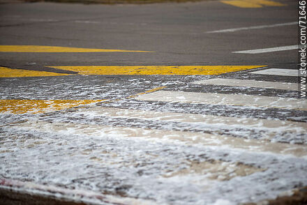 Foam on the zebra of the pedestrian crosswalk - Department of Maldonado - URUGUAY. Photo #71646