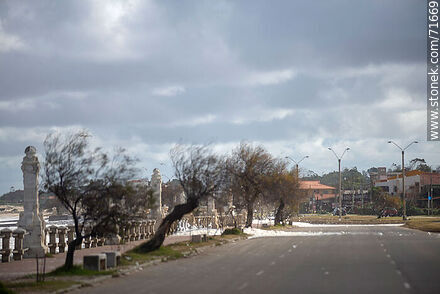 The promenade dotted with sea foam - Department of Maldonado - URUGUAY. Photo #71669