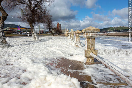 The promenade dotted with sea foam - Department of Maldonado - URUGUAY. Photo #71708